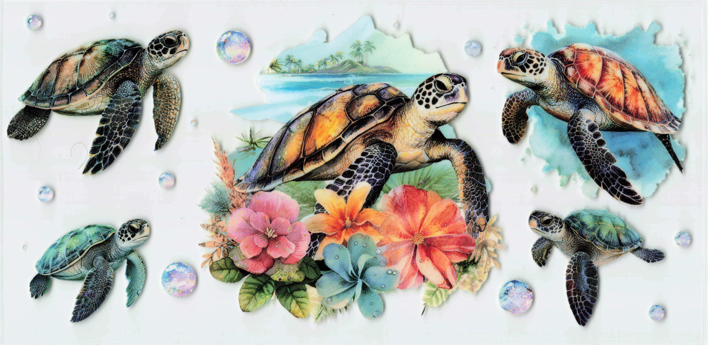 TURTLE2