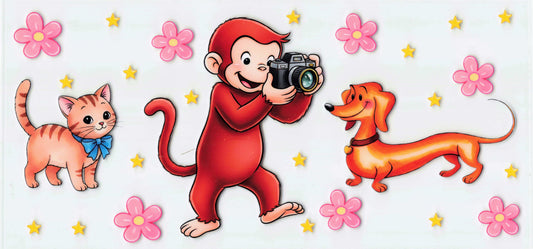 CURIOSGEORGE