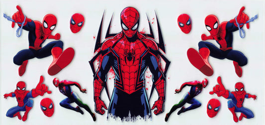 Spider1